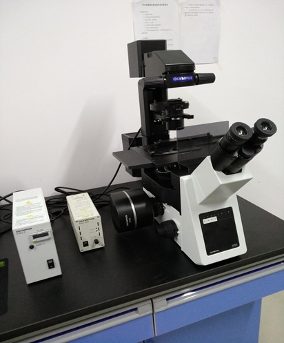 荧光倒置显微镜